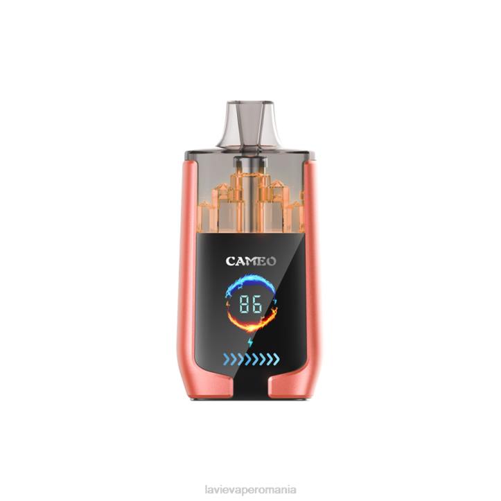 N88V24 Lavie Vape Price | pepene verde căpșuni LAVIE CAMEO 30000 de pufuri